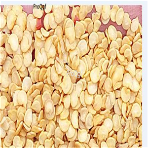 19usd Ngryise 6000Pcs A Set red Chili Pepper seed