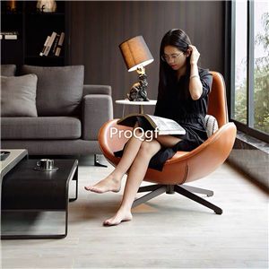 399usd Ngryise 1 set modern fashion lounge relax chair