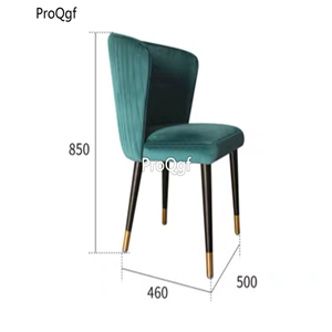 169usd Ngryise 1 set ins style nordic fashion chair