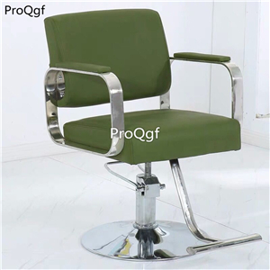 269usd Ngryise 1 set cut hair use ins style salon relax chair stainless steel series