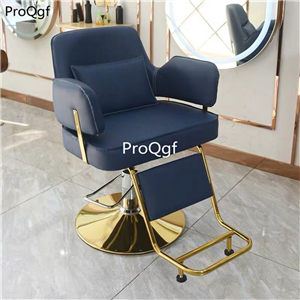 269usd Ngryise 1 set lounge salon Relax Professional Chair three color choice