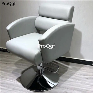 269usd Ngryise 1 set lounge salon Relax Professional Chair luxurious series