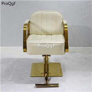 269usd Ngryise 1 set europe Relax cut hair use salon Chair luxurious series