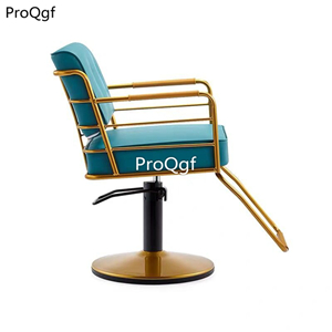 369usd Ngryise 1 set rare style Relax cut hair use salon Chair