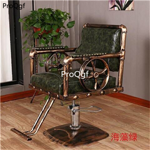 299usd Ngryise 1 set Relax ancient series cut hair use salon chair