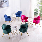 169usd Ngryise 1 set luxurious leisure tea shop use chair