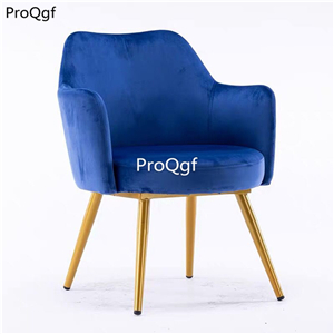 169usd Ngryise 1 set luxurious leisure tea shop use chair