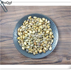 19usd Ngryise 300Pcs A Set white Castor Bean seed