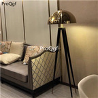 369usd Ngryise 1 set 165*50cm nordic ins style light