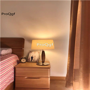 399usd Ngryise 1 set good effect series ins style table light