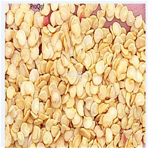 19usd Ngryise 8000Pcs A Set Red Hot Chili Pepper seed