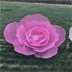 169usd Ngryise 1 set 60cm  garden glass flower shape decoration