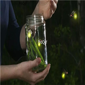 29usd Ngryise 1 set glowworm baby fake artificial