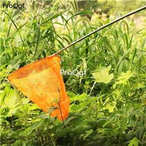 12usd Ngryise 1 set glowworm baby catcher net