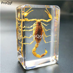 29usd Ngryise 1 set died animal statue collection interest