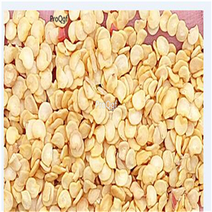 19usd Ngryise 6000Pcs A Set Green Jalapeno Pepper  seed