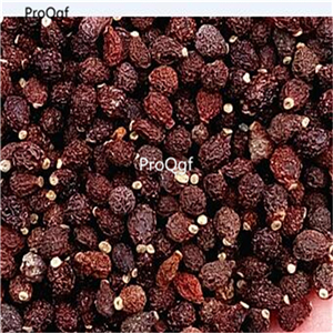 19usd Ngryise 500Pcs A Set Pecteilis radiata seed