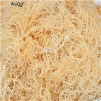 39usd Ngryise 300Pcs A Set Gelidium amansii Lamouroux seed