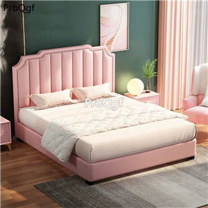 1699usd Ngryise 1 set ins pink princess style Children Bed
