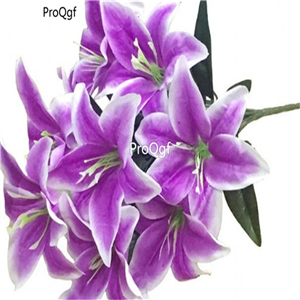 9usd Ngryise 20Pcs A Set lily flower bulb