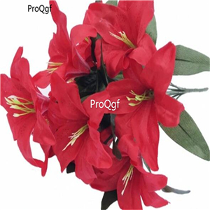 9usd hot Ngryise 20Pcs A Set lily flower bulb