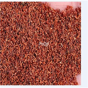 19usd Ngryise 20000Pcs A Set rare seed