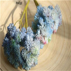 19usd Ngryise 20000Pcs A Set rare seed