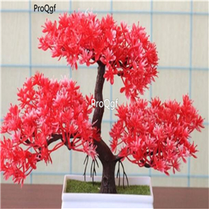 19usd Ngryise 8000Pcs A Set Platycodon grandiflorus seed