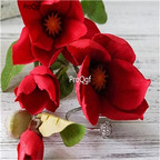 19usd Ngryise 500Pcs A Set Magnolia seed