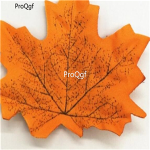 19usd Ngryise 2000Pcs A Set maple acer tree seed