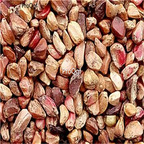 19usd Ngryise 2000Pcs A Set Mini Rose seed