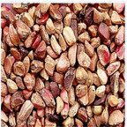 19usd Ngryise 2000Pcs A Set rose flower seed