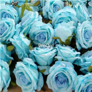 19usd Ngryise 2000Pcs A Set europe rose flower hot seed