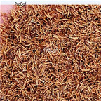 19usd Ngryise 2000Pcs A Set Ranunculus seed