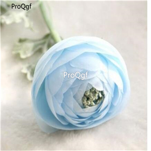 19usd Ngryise 2000Pcs A Set Ranunculus seed