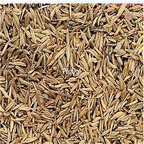 19usd Ngryise 6000Pcs A Set Dandelion seed