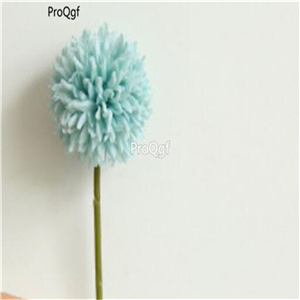 19usd Ngryise 6000Pcs A Set Dandelion seed