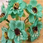 19usd Ngryise 8000Pcs A Set poppy flower seed