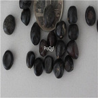 199usd Ngryise 300Pcs A Set korean peony seed