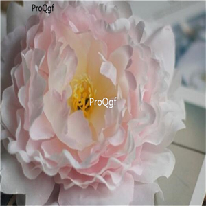 199usd Ngryise 300Pcs A Set korean peony seed