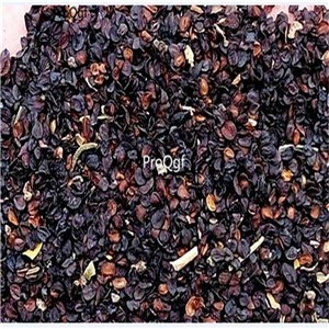 19usd Ngryise 8000Pcs A Set europe carnation seed