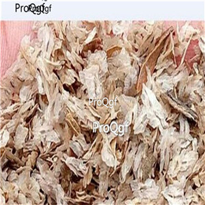 39usd Ngryise 80000Pcs A Set paulownia z07 seed