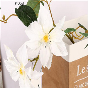 15usd Ngryise 5Pcs A Set clematis root