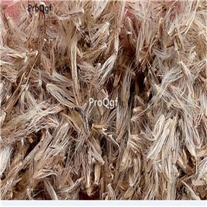 19usd Ngryise 5000Pcs A Set Pyrrosiacalvata seed
