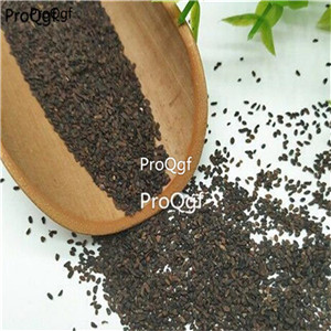 19usd Ngryise 8000Pcs A Set  Plantago virginica seed
