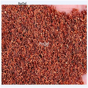 19usd Ngryise 8000Pcs A Set  Silver Dollar Eucalyptus seed