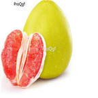 19usd Ngryise 100Pcs A Set  pomelo citrus seed