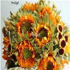 19usd Ngryise 1000Pcs A Set giant sunflower seed