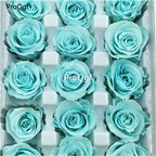 199usd Ngryise 1000Pcs A Set skyblue rose seed