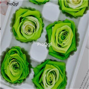 19usd Ngryise 1000Pcs A Set many series rose seed hot rare